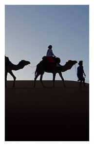 morocco desert tours