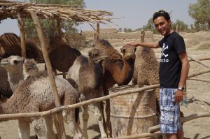 Imad with camels